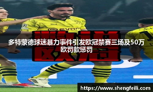 多特蒙德球迷暴力事件引发欧冠禁赛三场及50万欧罚款惩罚